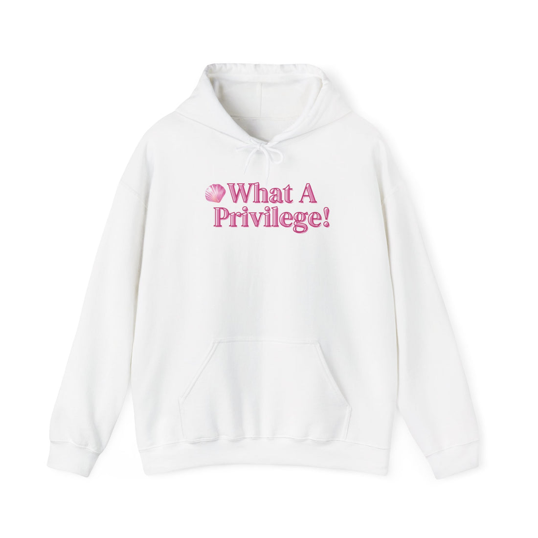What A Privilege! Unisex Hooded Sweatshirt